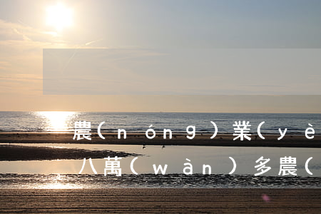 農(nóng)業(yè)銀行信用卡逾期八萬(wàn)多(農(nóng)業(yè)銀行信用卡逾期八萬(wàn)多)