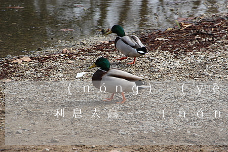 農(nóng)業(yè)銀行信用卡逾期利息太高-農(nóng)行信用貸款逾期幾天了怎么辦會(huì)有影響嗎