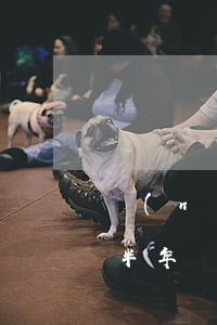 農(nóng)業(yè)銀行信用卡逾期半年說(shuō)報(bào)警是真的嗎（農(nóng)業(yè)銀行信用卡逾期半年說(shuō)報(bào)警）