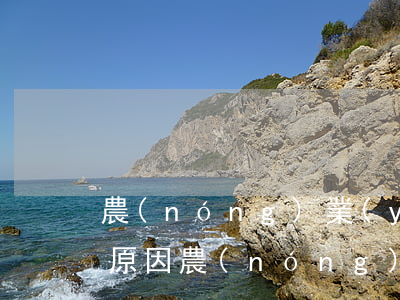 農(nóng)業(yè)銀行信用卡逾期原因(農(nóng)業(yè)銀行信用卡逾期原因分析)