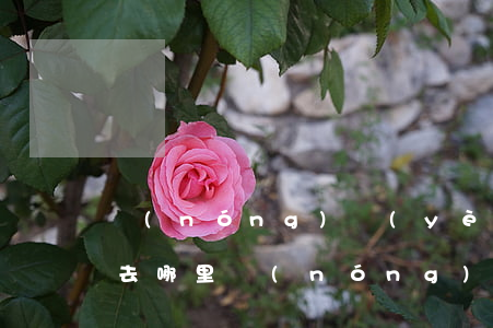 農(nóng)業(yè)銀行信用卡逾期去哪里(農(nóng)業(yè)銀行信用卡逾期去哪里)