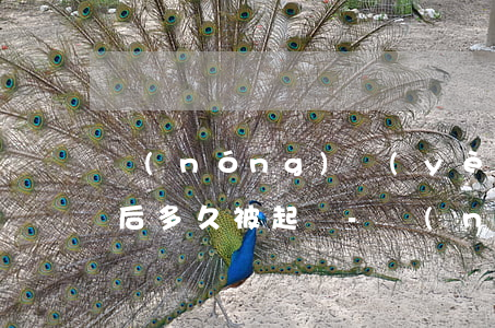 農(nóng)業(yè)銀行信用卡逾期后多久被起訴-農(nóng)業(yè)銀行信用卡逾期后多久被起訴失效