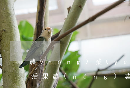 農(nóng)業(yè)銀行信用卡逾期后果(農(nóng)業(yè)銀行信用卡逾期多久會有不良記錄)