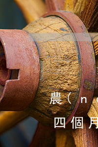 農(nóng)業(yè)銀行信用卡逾期四個月會被起訴嗎-農(nóng)業(yè)銀行信用卡逾期四個月會被起訴嗎