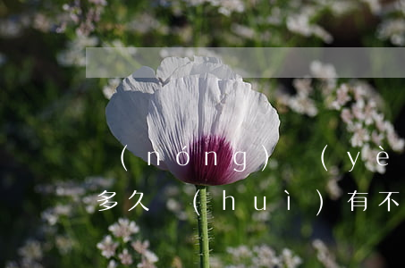 農(nóng)業(yè)銀行信用卡逾期多久會(huì)有不良記錄ni-農(nóng)業(yè)銀行信用卡逾期多久會(huì)有不良記錄