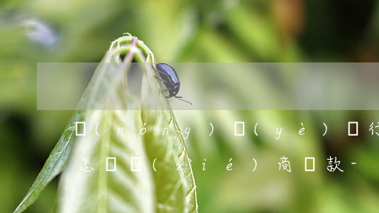 農(nóng)業(yè)銀行信用卡逾期怎樣協(xié)商還款-農(nóng)業(yè)銀行信用卡逾期怎樣協(xié)商還款的
