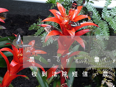 農(nóng)業(yè)銀行信用卡逾期收到法院短信-農(nóng)業(yè)銀行信用卡逾期收到法院短信是真的嗎