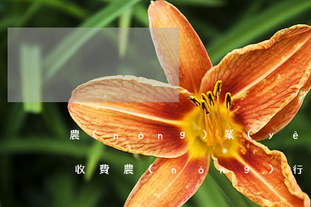 農(nóng)業(yè)銀行信用卡逾期收費(農(nóng)行信用卡逾期一天會收費嗎?)