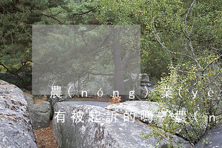 農(nóng)業(yè)銀行信用卡逾期有被起訴的嗎-農(nóng)業(yè)銀行信用卡逾期有被起訴的嗎知乎