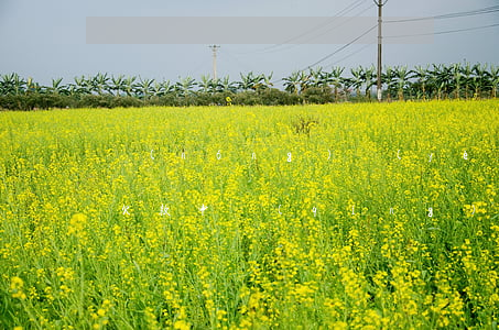 農(nóng)業(yè)銀行信用卡逾期欠款申請(qǐng)減免-農(nóng)業(yè)銀行信用卡逾期欠款申請(qǐng)減免多久