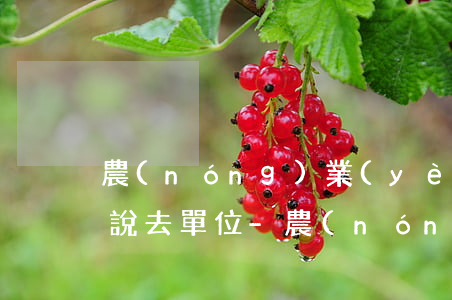 農(nóng)業(yè)銀行信用卡逾期說去單位-農(nóng)業(yè)銀行信用卡逾期說去單位