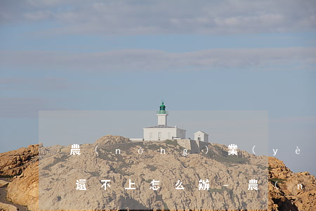 農(nóng)業(yè)銀行信用卡逾期還不上怎么辦-農(nóng)業(yè)銀行信用卡逾期還不上怎么辦呢