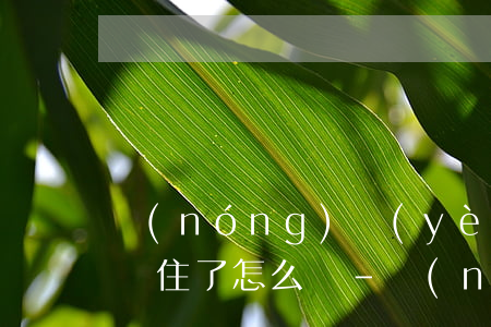 農(nóng)業(yè)銀行信用卡逾期鎖住了怎么辦-農(nóng)業(yè)銀行信用卡逾期鎖住了怎么辦理