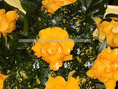 農(nóng)業(yè)銀行修改逾期征信報告的條件(農(nóng)業(yè)銀行征信報告有效期)