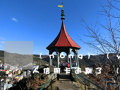 農(nóng)業(yè)銀行個(gè)人信用卡逾期了(農(nóng)行信用卡 逾期一天)