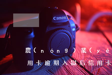 農(nóng)業(yè)銀行因為坐牢信用卡逾期(入獄后信用卡逾期)