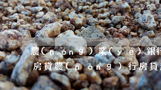 農(nóng)業(yè)銀行對于逾期還房貸(農(nóng)行房貸超期一天還款)