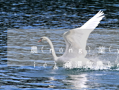 農(nóng)業(yè)銀行怎么協(xié)商還款（農(nóng)行卡逾期怎樣和銀行協(xié)商還款）