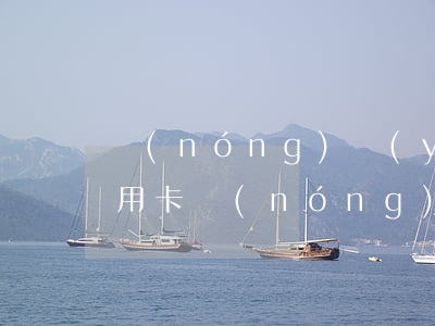 農(nóng)業(yè)銀行怎么透支信用卡(農(nóng)業(yè)銀行信用卡透支額度怎么突然用不了了)