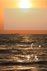 農(nóng)業(yè)銀行惠民貸逾期多久會起訴-