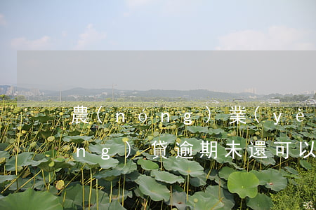 農(nóng)業(yè)銀行惠農(nóng)貸逾期未還可以申請(qǐng)延期嗎-農(nóng)業(yè)銀行惠農(nóng)貸逾期未還可以申請(qǐng)延期嗎