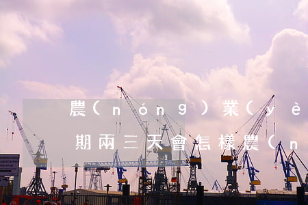 農(nóng)業(yè)銀行房貸還款逾期兩三天會怎樣?（農(nóng)行房貸逾期2天怎么辦）