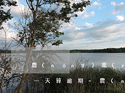 農(nóng)業(yè)銀行的房貸晚了一天算逾期-農(nóng)業(yè)銀行房貸晚還一天