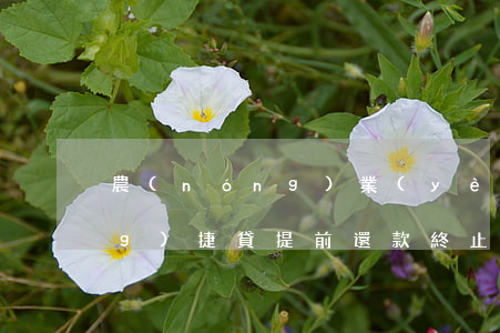 農(nóng)業(yè)銀行網(wǎng)捷貸提前還款終止合同-農(nóng)業(yè)銀行網(wǎng)捷貸提前還款終止合同怎么辦