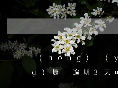農(nóng)業(yè)銀行網(wǎng)捷貸逾期3天可以協(xié)商-農(nóng)業(yè)銀行網(wǎng)捷貸逾期3天可以協(xié)商嗎