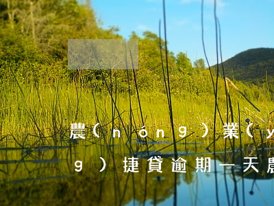 農(nóng)業(yè)銀行網(wǎng)捷貸逾期一天(農(nóng)行網(wǎng)捷貸利息逾期一天)
