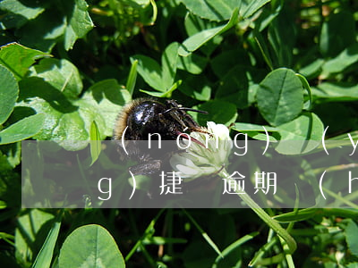 農(nóng)業(yè)銀行網(wǎng)捷貸逾期會(huì)被起訴嗎(農(nóng)行網(wǎng)捷貸逾期一個(gè)月就會(huì)被起訴嗎?)