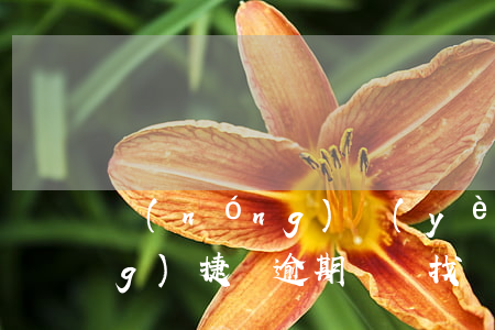 農(nóng)業(yè)銀行網(wǎng)捷貸逾期記錄找誰協(xié)商-農(nóng)業(yè)銀行網(wǎng)捷貸逾期記錄找誰協(xié)商還款