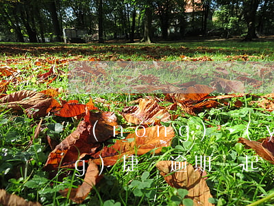 農(nóng)業(yè)銀行網(wǎng)捷貸逾期說起訴-農(nóng)行網(wǎng)捷貸逾期一個月就會被起訴嗎?