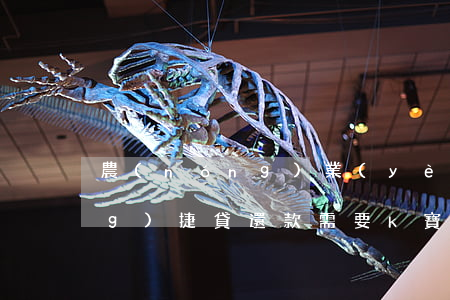 農(nóng)業(yè)銀行網(wǎng)捷貸還款需要k寶嗎-農(nóng)業(yè)銀行網(wǎng)捷貸必須要k寶么