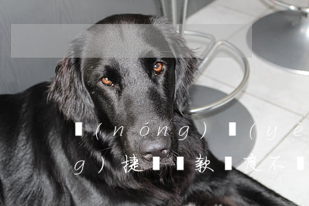 農(nóng)業(yè)銀行網(wǎng)捷貸還款額度不顯示-