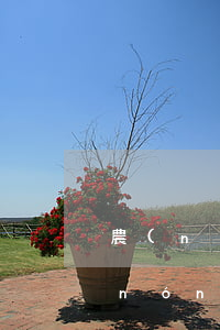 農(nóng)業(yè)銀行被鎖卡（農(nóng)業(yè)信用卡逾期了被鎖卡）