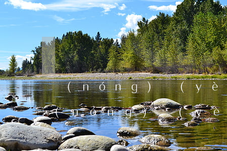 農(nóng)業(yè)銀行貸款條件(農(nóng)業(yè)銀行貸款條件要求)