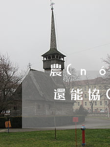 農(nóng)業(yè)銀行貸款無力償還能協(xié)商還款（農(nóng)業(yè)銀行逾期后協(xié)商還款）