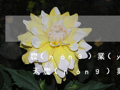 農(nóng)業(yè)銀行貸款逾期1天(農(nóng)業(yè)銀行貸款逾期1天)