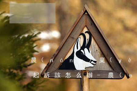 農(nóng)業(yè)銀行貸款逾期被起訴該怎么辦-農(nóng)業(yè)銀行貸款逾期被起訴該怎么辦呢