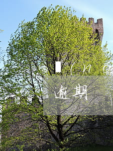 農(nóng)業(yè)銀行貸款還款日逾期