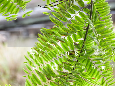 農(nóng)業(yè)銀行起訴信用卡（廣州農(nóng)商銀行信用卡逾期起訴）