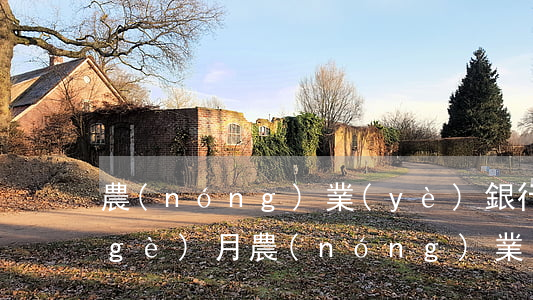 農(nóng)業(yè)銀行逾期8個(gè)月(農(nóng)業(yè)銀行逾期8個(gè)月)