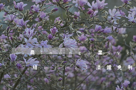 農(nóng)業(yè)銀行逾期一次性結(jié)清減免利息-農(nóng)業(yè)銀行逾期一次性結(jié)清減免利息嗎