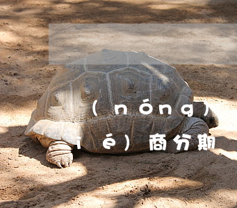 農(nóng)業(yè)銀行逾期協(xié)商分期還款(農(nóng)業(yè)銀行逾期協(xié)商分期還款流程)