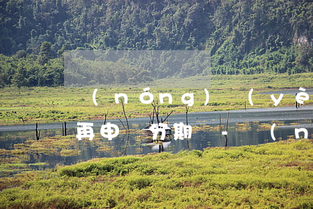 農(nóng)業(yè)銀行逾期后可以再申請分期嗎-農(nóng)業(yè)銀行逾期后可以再申請分期嗎