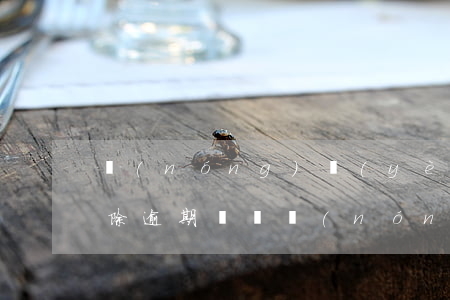 農(nóng)業(yè)銀行逾期怎樣消除逾期記錄(農(nóng)業(yè)銀行逾期怎樣消除逾期記錄呢)