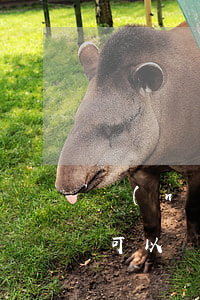 農(nóng)業(yè)銀行逾期立案后可以協(xié)商還款嗎(農(nóng)業(yè)銀行好協(xié)商還款嗎)