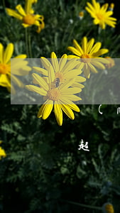 農(nóng)業(yè)銀行逾期違約金超國(guó)家規(guī)定嗎-農(nóng)行逾期違約金是多少錢(qián)
