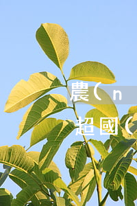 農(nóng)業(yè)銀行逾期違約金超國(guó)家規(guī)定嗎-農(nóng)行逾期違約金是多少錢